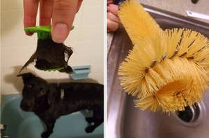 Hand holding plastic Tubshroom full of dog hair, plus a hand holding a weird-looking scrubbing brush