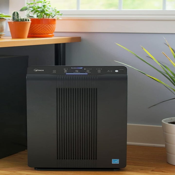 23 Best Air Purifiers For Pets Of 2024