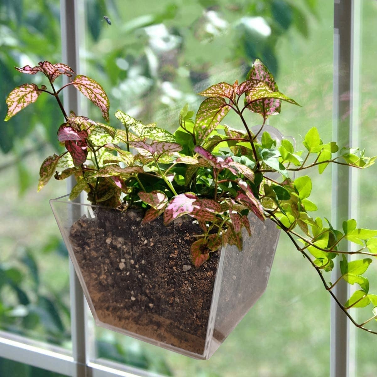 The square-shaped window planter
