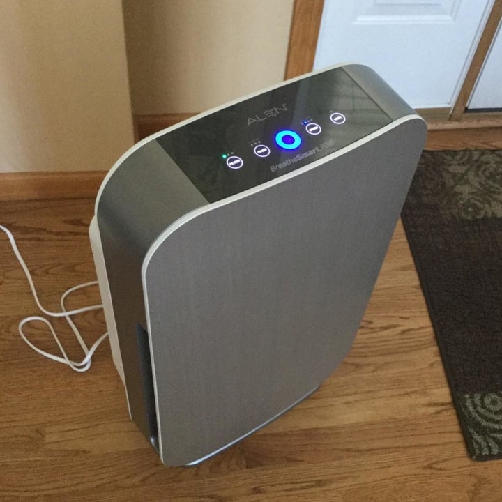 22 Best Air Purifiers For Pets Of 2024