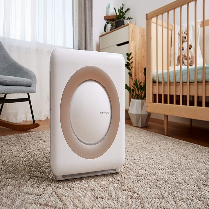 25 Best Air Purifiers For Pets Of 2025