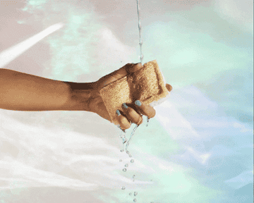 Gif of hand pouring powder dish soap on a sponge, wetting it, lathering it, and wiping a plate clean