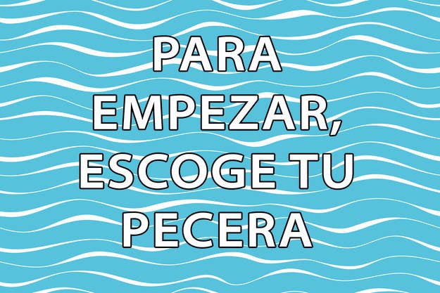 Contesta 5 preguntas y te diremos qué personaje de Bob Esponja eres