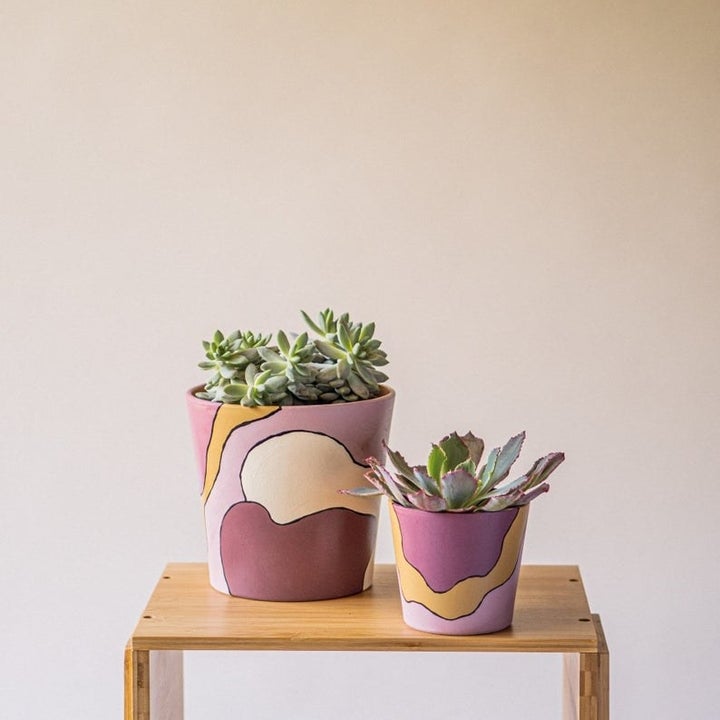 pink and beige wave-like abstract pattern on two planters