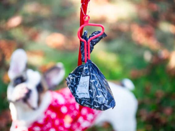 loop-like keychain attachment to dog leash that holds a dog poo bag