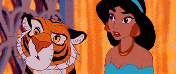 rajah and jasmine from Aladdin giving each other skeptical looks