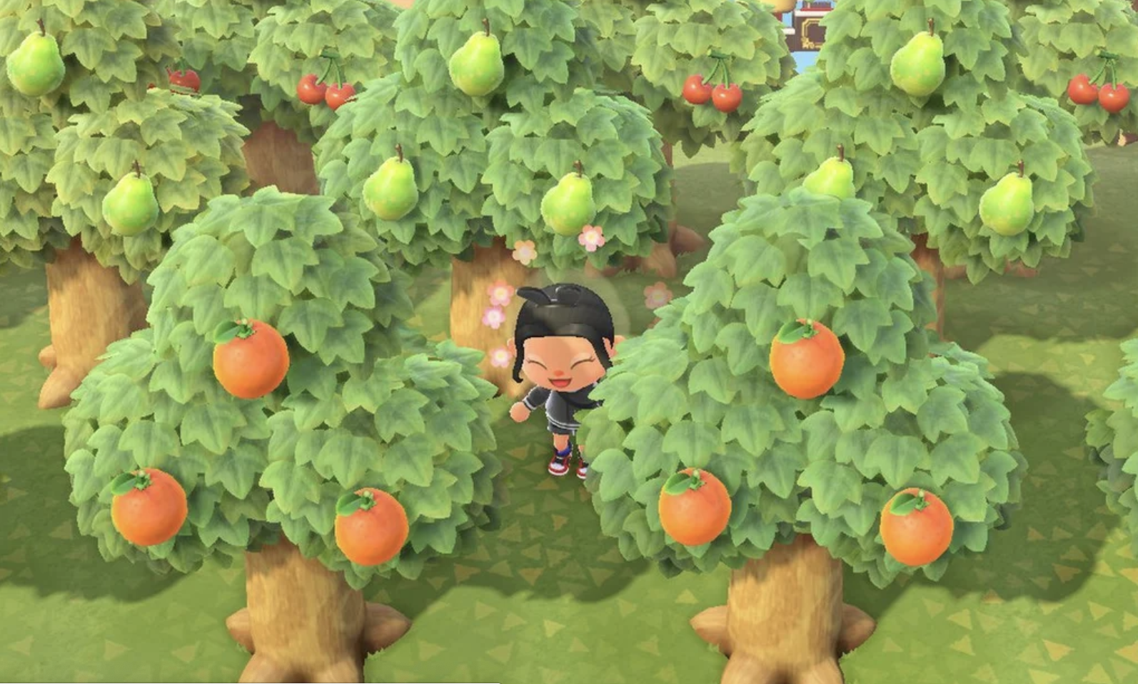 Animal Crossing Fruit Cheat Codes