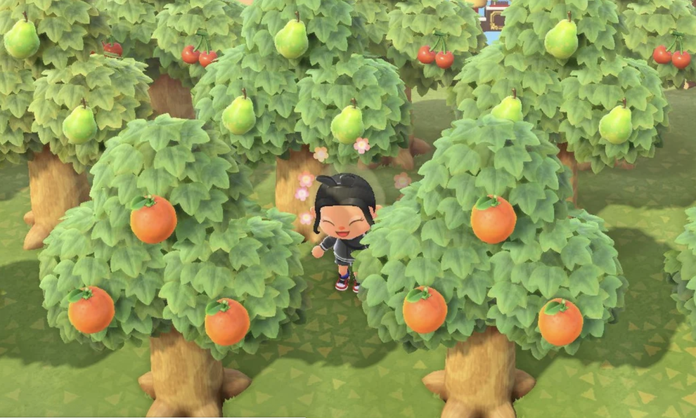 26 "Animal Crossing: New Horizons" Tips And Tricks