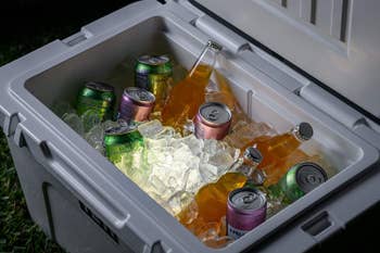 The cooler with drinks
