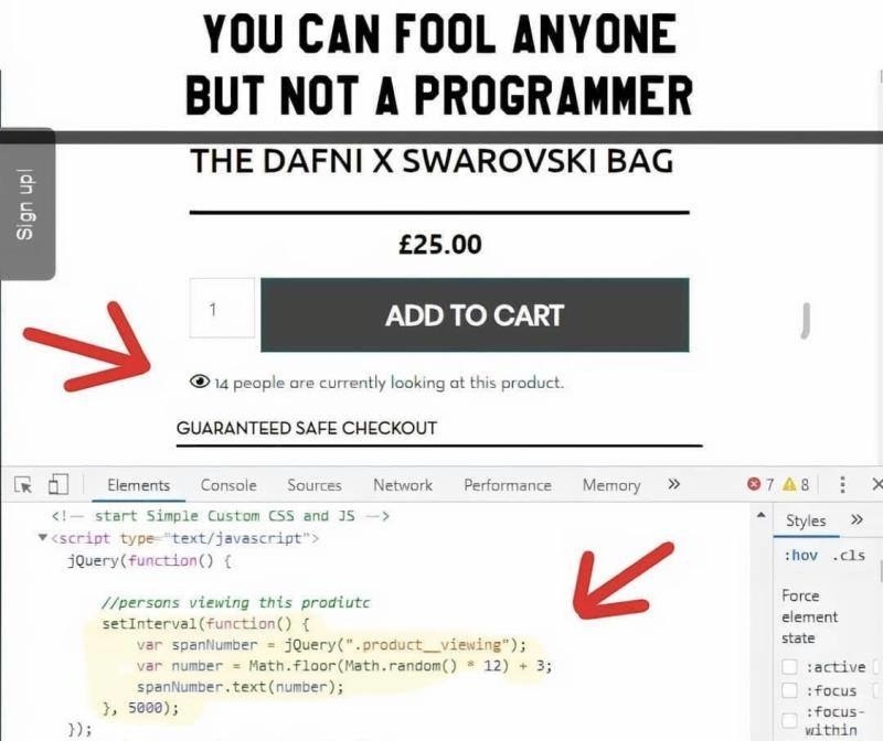Text reads &quot;you can fool anyone but not a programmer&quot; at the top, followed by a screenshot of a shopping site that says &quot;14 people are currently looking at this product,&quot; followed by the site&#x27;s code showing that the 14 is a randomly generated number