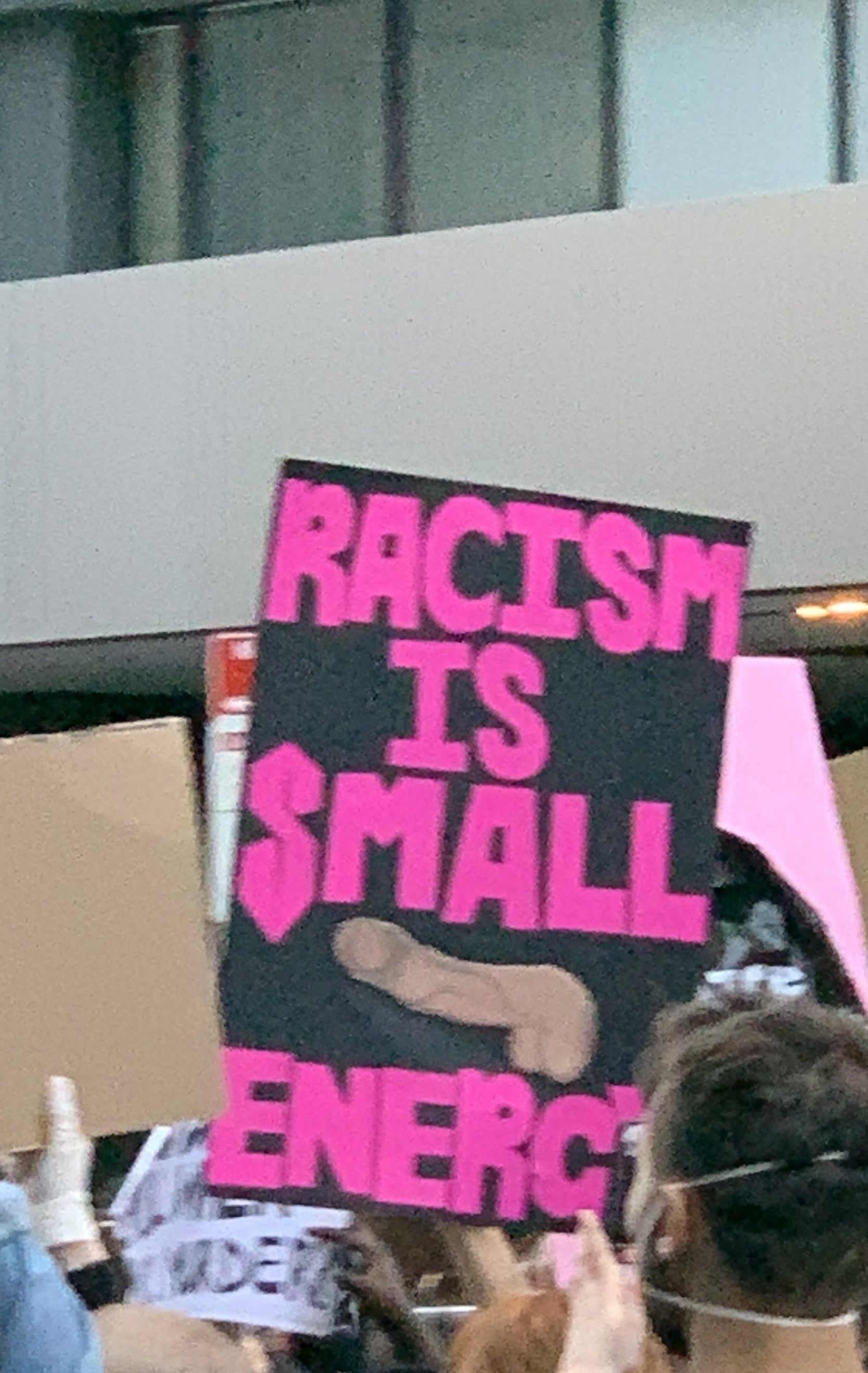 A protest sign reads &quot;Racism is small dick energy&quot;.