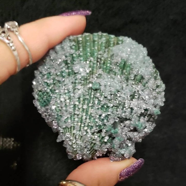 person holding seashell that has crystals on it