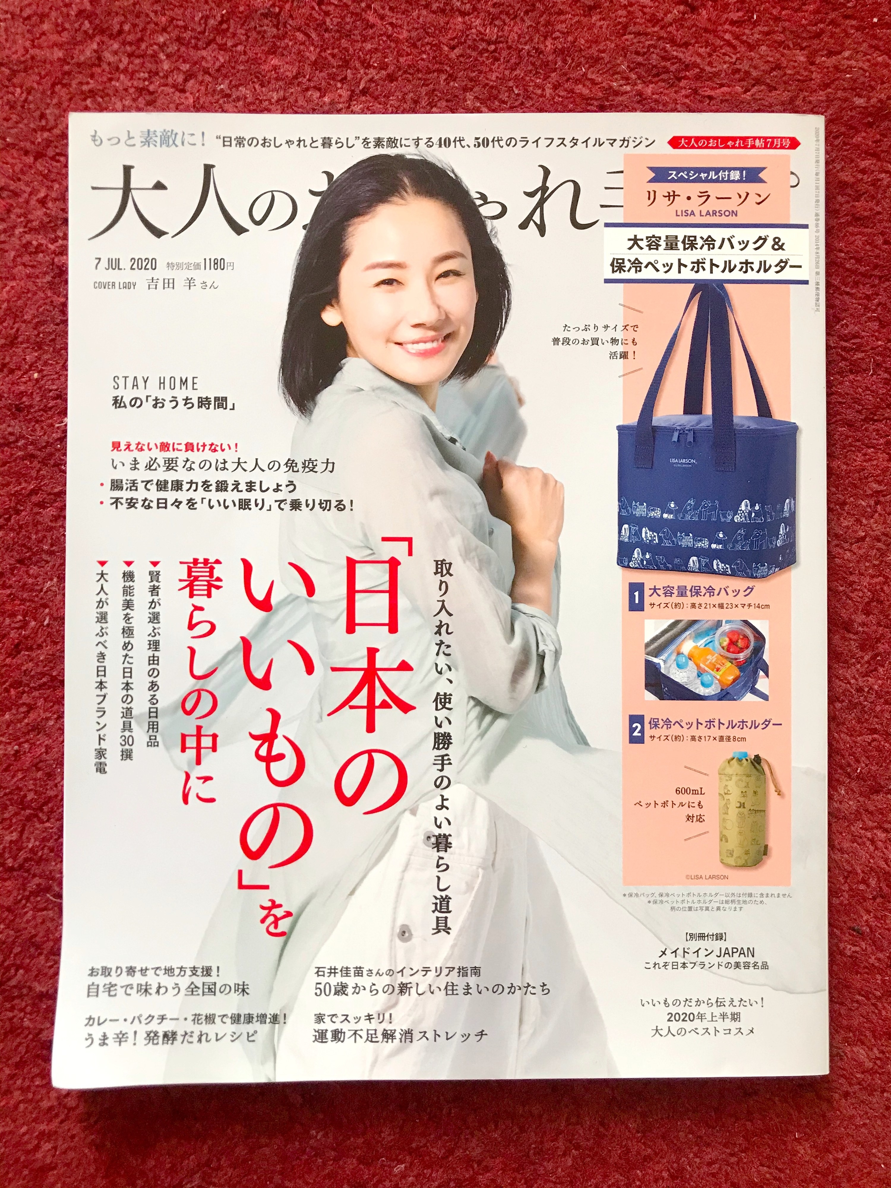 めっちゃ使える！1180円の雑誌付録に“特大保冷バッグ”って、こんな豪華