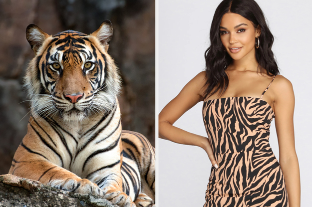 Everyone's Personality Matches An Animal Print – What's Yours?