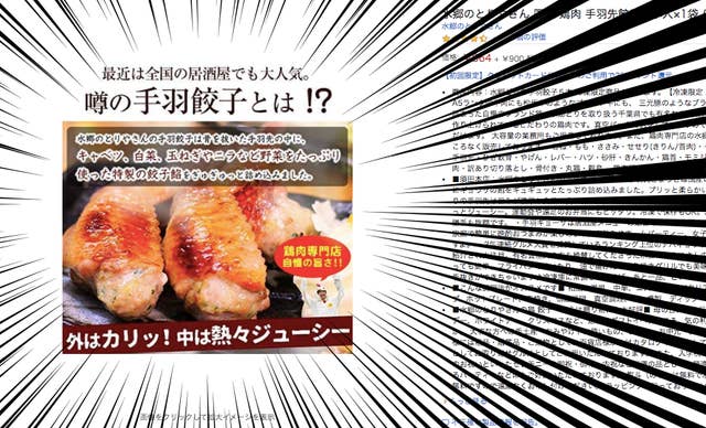 存在が罪だよ Amazonで見つけた 手羽餃子 がヤバい代物だった