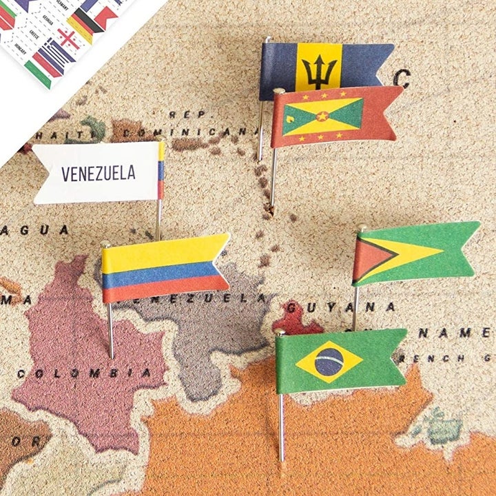 the flag push pins 