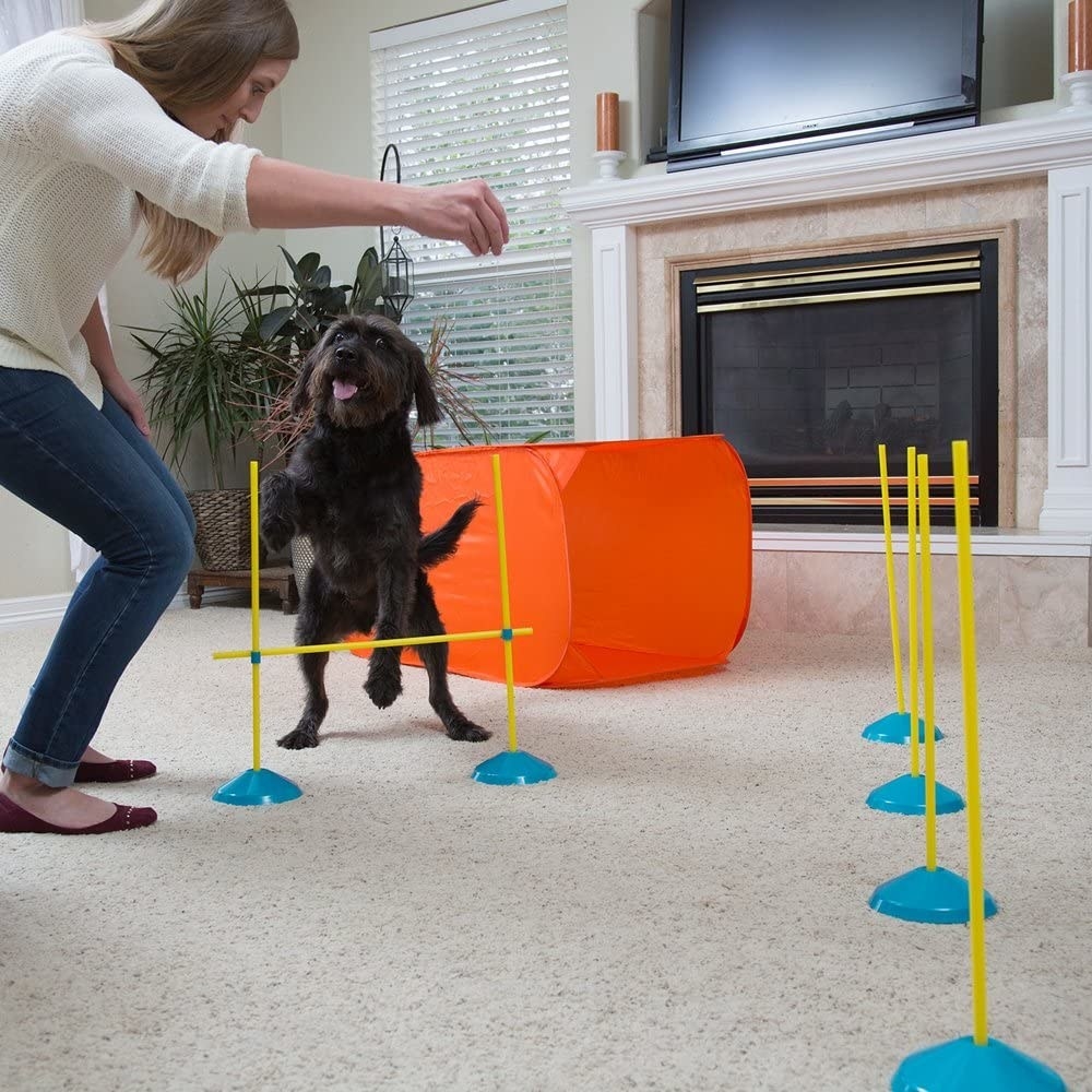 A pet owner leading their dog through the course 