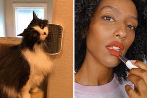 On the left, reviewer's cat uses self-grooming toy on wall. On the right, model applies Glossier lipstick in a red shade