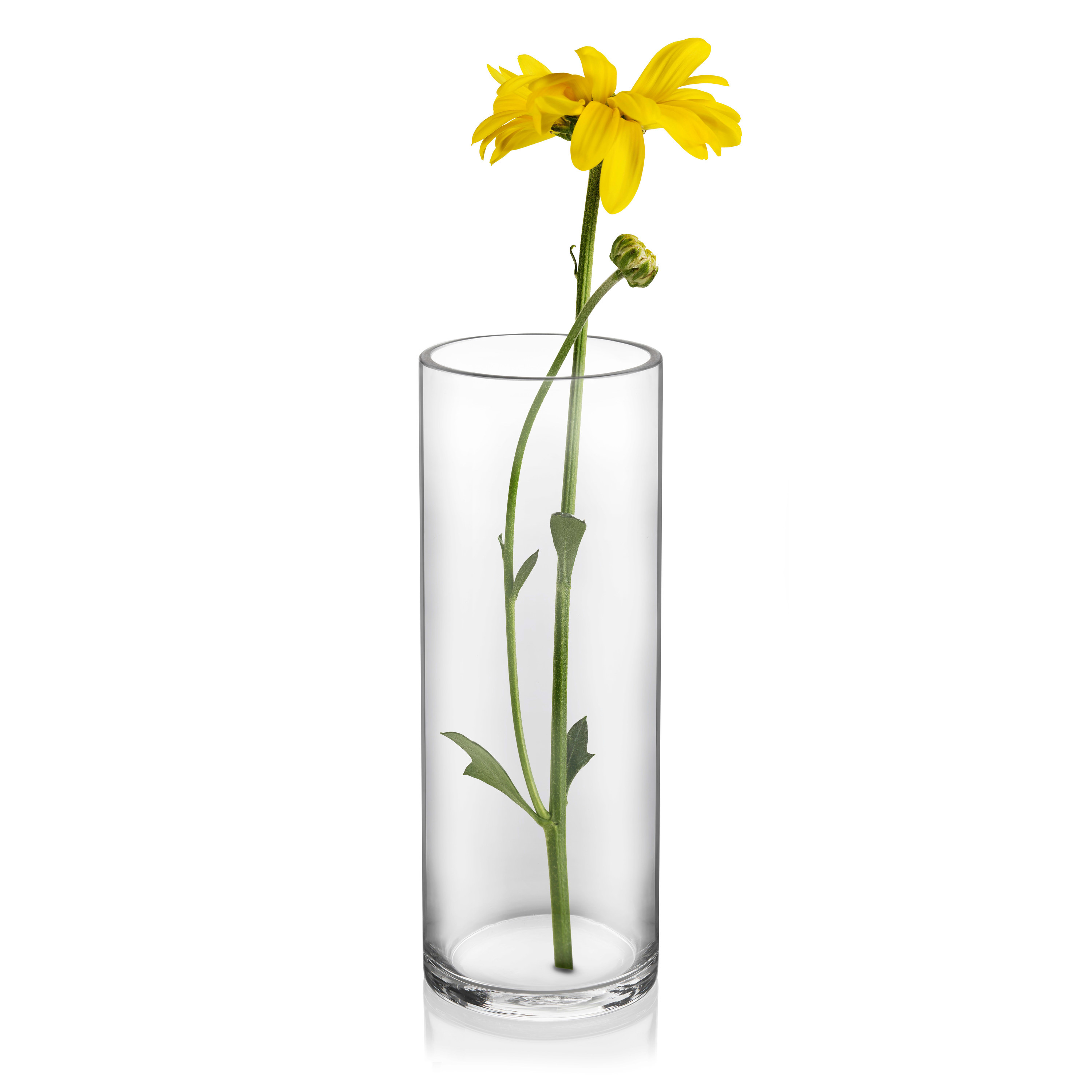 Glass vase with a flower in it 
