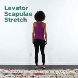 A person places their right hand on a wall and looks down toward their left shoulder to stretch their levator scapulae