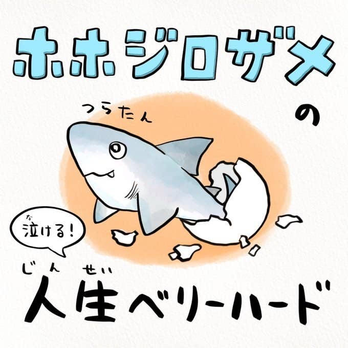 ここには学びがたくさんある さかなのおにいさんがsnsで生態を伝える理由