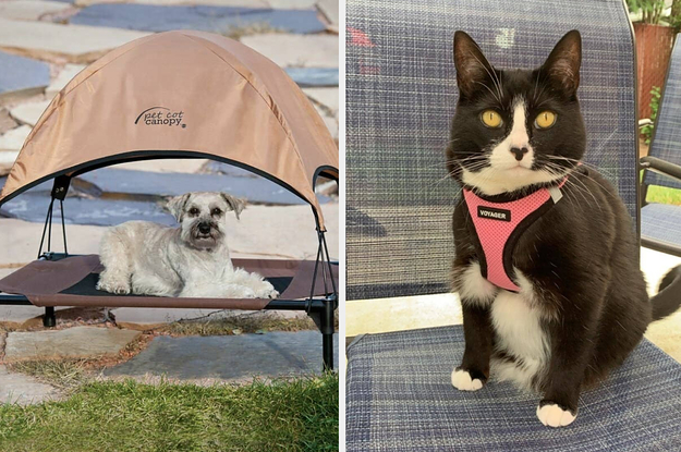 25 Things That'll Help You And Your Pet Make The Most Out Of Your Backyard