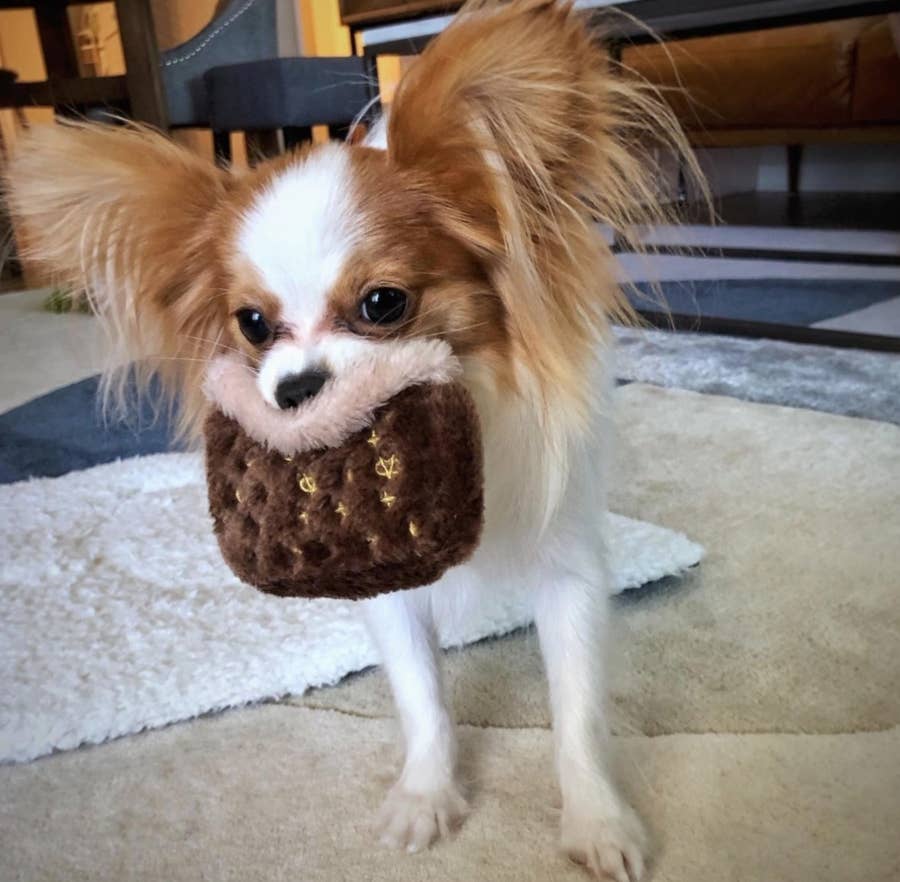 Chewy Vuitton Dog Toys Review: Your Furry Friend Deserves the Best