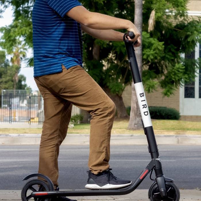 A model on a BIRD scooter