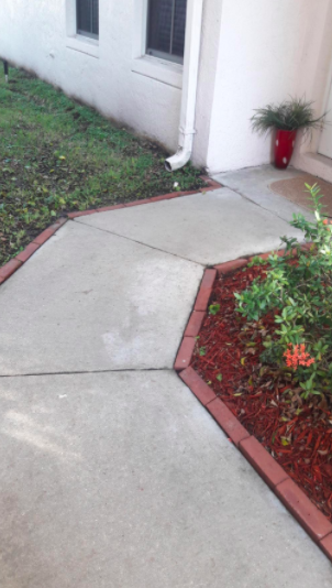 Reviewer's clean, grass-free walkway after using the outdoor cleaner