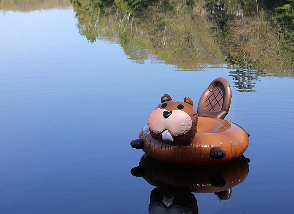 A beaver tube floats in a lake