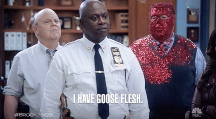 Captain Holt expressing he has goosebumps in a robotic way