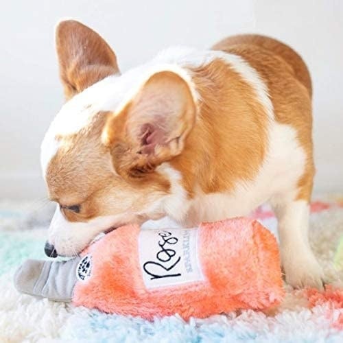 dog chewing on the rosé bottle toy
