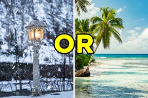 On the left, a snowy winter scene, and on the right, a beach in the summertime with "or" typed between the two different images