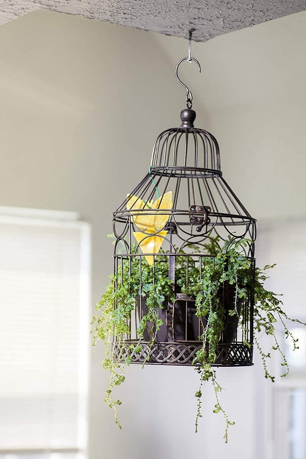 Productos repelentes de mosquitos alivio picaduras