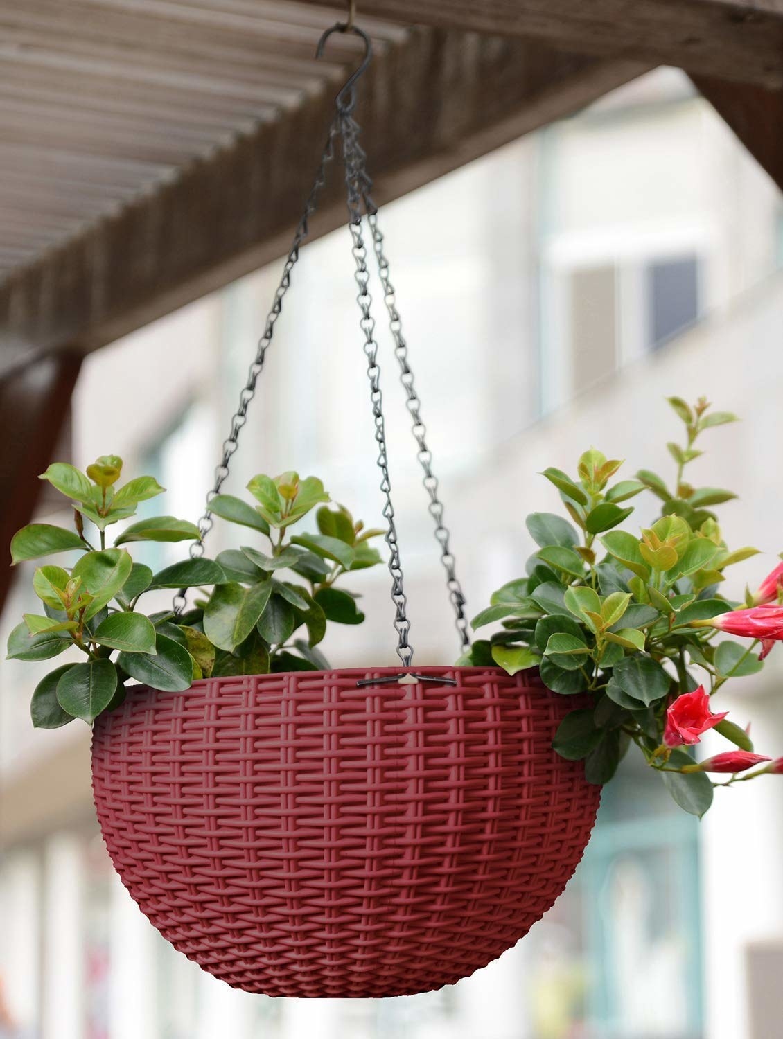 A maroon basket with plants in it