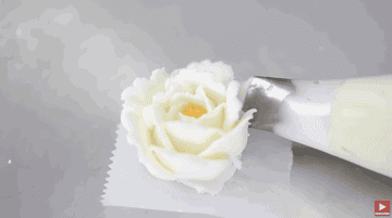 Person pipes out a beautiful white buttercream flower
