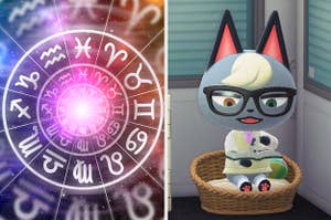 On the left is a zodiac chart and on the right is Raymond from Animal Crossing reading a book in a cat bed