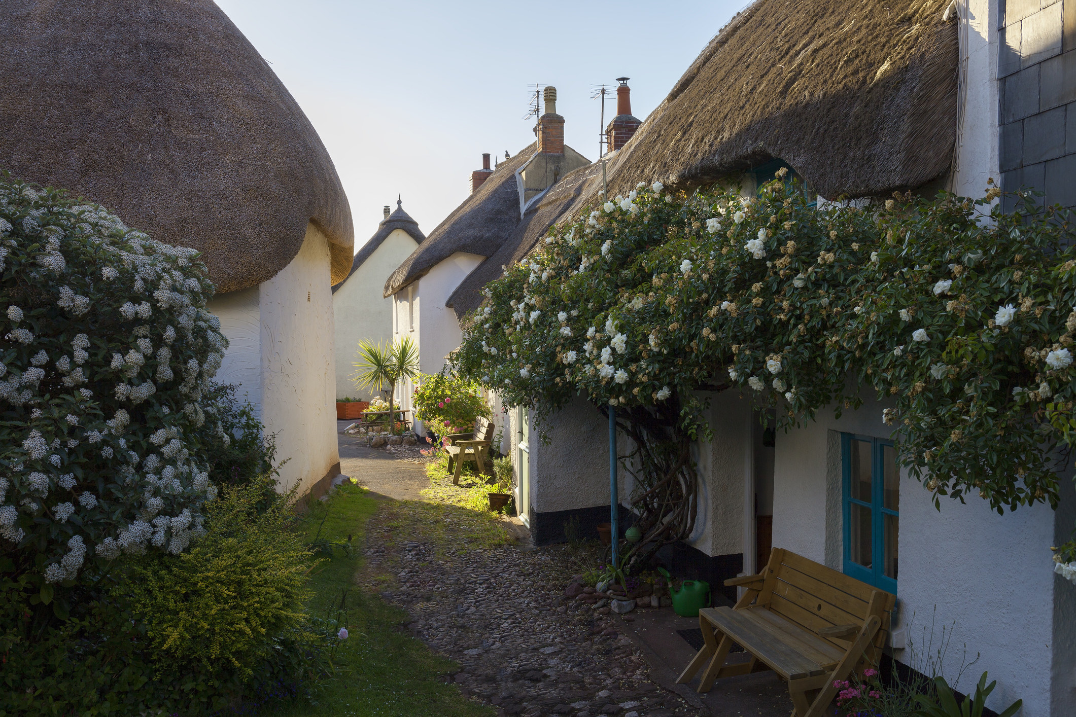 A group of cottages with thatched roofs in Hope Cove, Devon