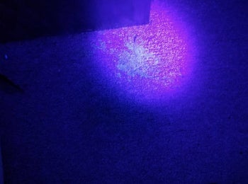 Reviewer photo of the light illuminating a pee spot