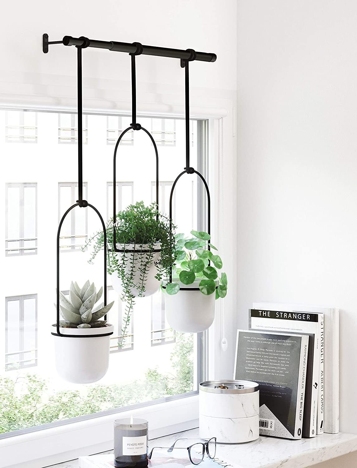 The planters are hung above a window like a curtain and filled with leafy plants