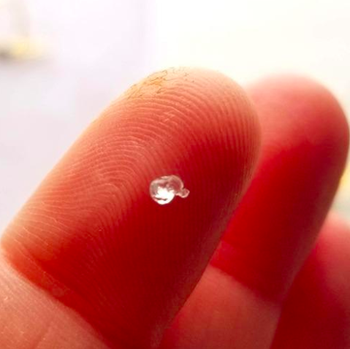 A customer review photo of a finger holding a tiny amount of the Museum Gel