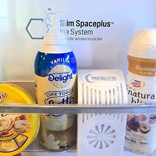 A white deodorizer on a fridge shelf 