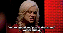 Leslie saying &quot;You&#x27;re stupid and you&#x27;re drunk and you&#x27;re stupid&quot;