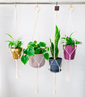 White macrame hangers carrying gold, blush, dark blue, and magenta plant pots