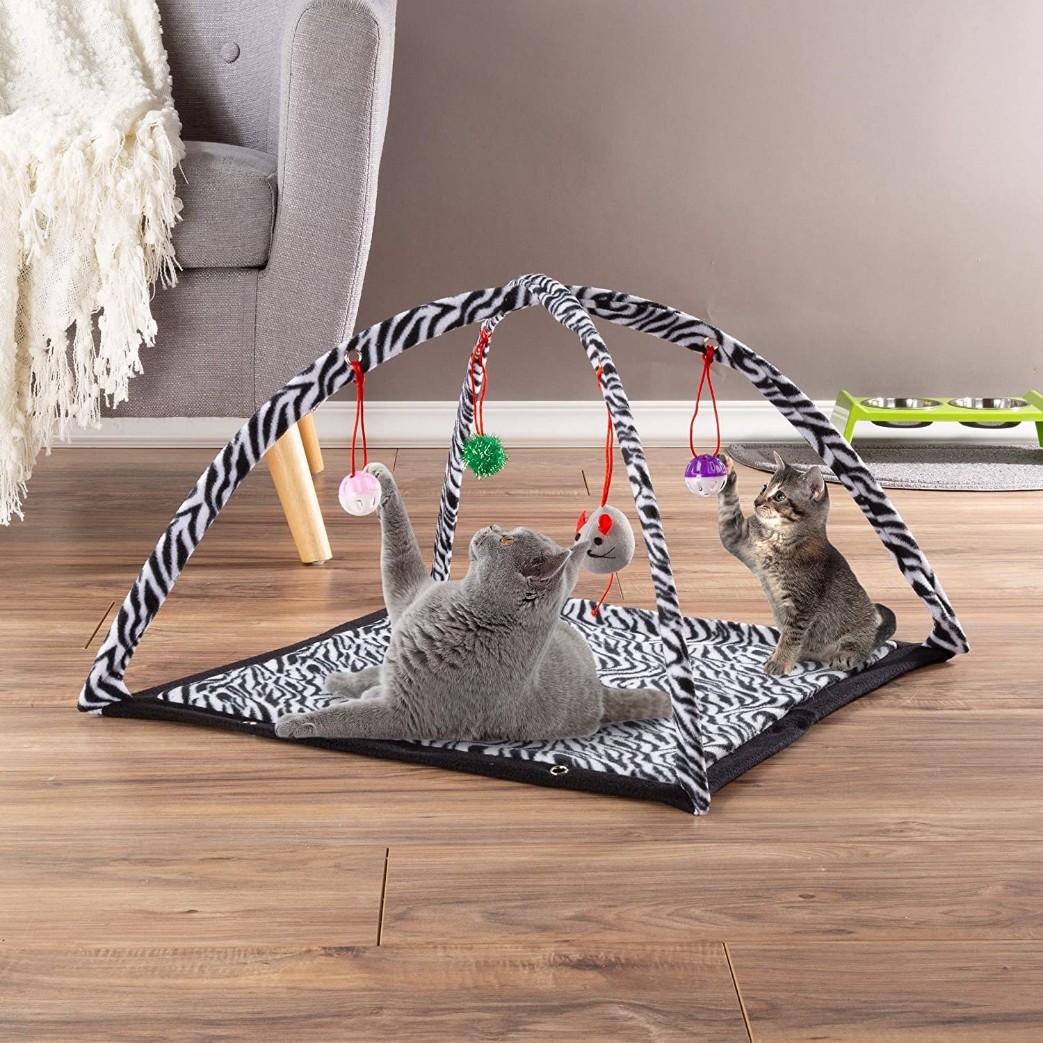 toys for older cats