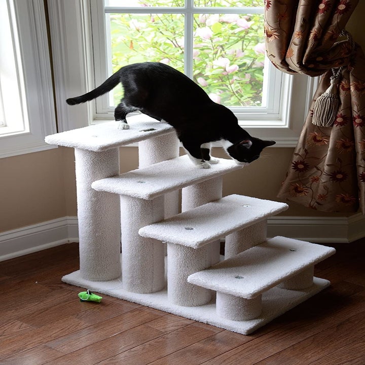 26 Products From Amazon That Senior Cat Owners Swear By