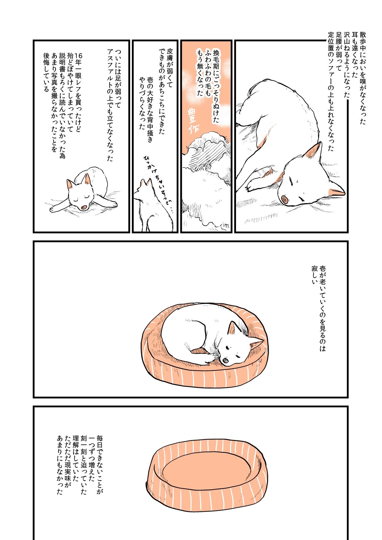 バイバイ 16年間ありがとう 亡くなった愛犬との思い出を描いた漫画に涙腺がゆるむ