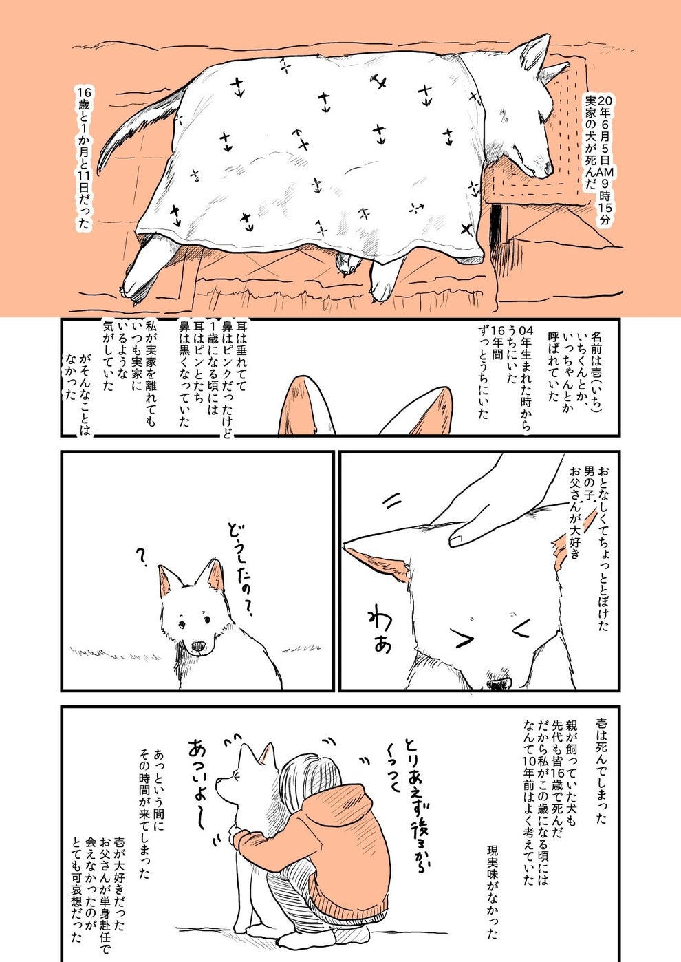 犬 が 死ん だら