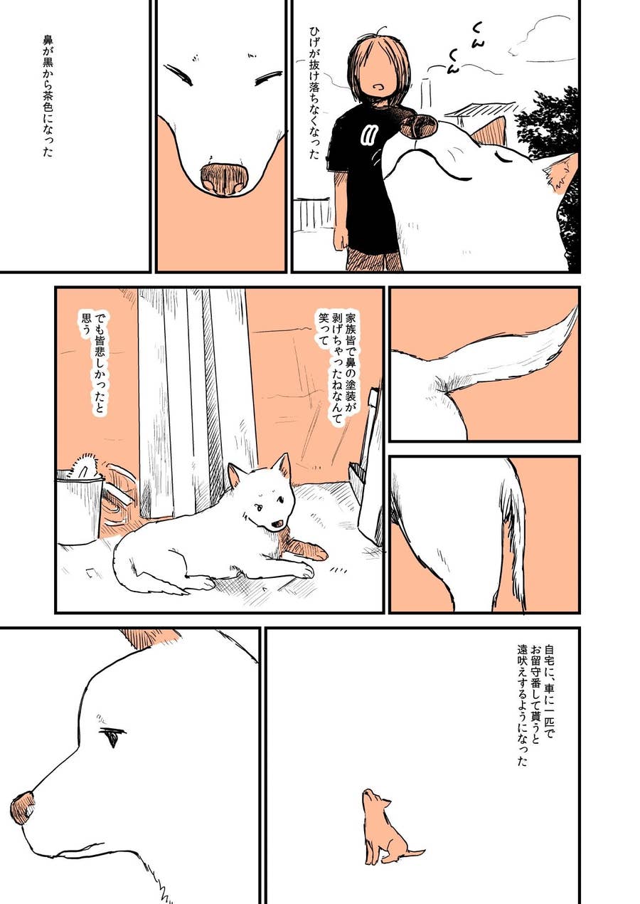 実家 の 犬 が 死ん だ