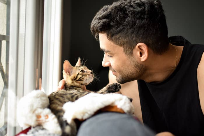 A person is leaning into their cat&#x27;s space and petting behind its head